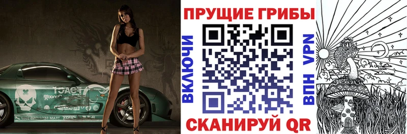 где купить наркоту гидра как зайти Галлюциногенные грибы Psilocybine cubensis Тосно