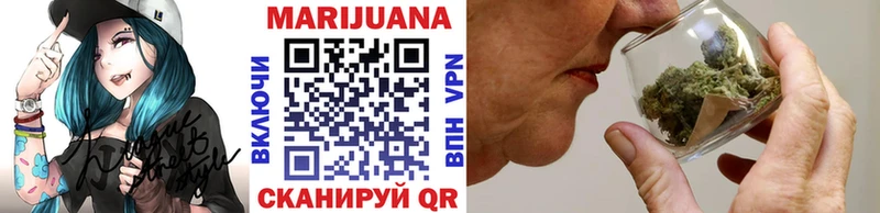 Конопля сатива  Тосно 
